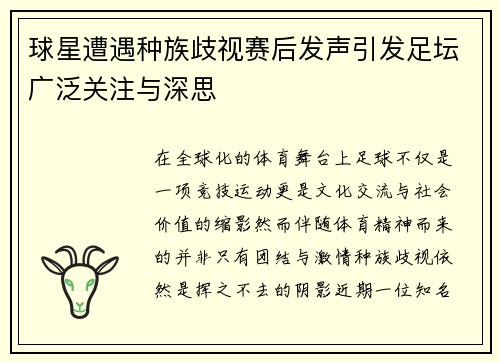 球星遭遇种族歧视赛后发声引发足坛广泛关注与深思