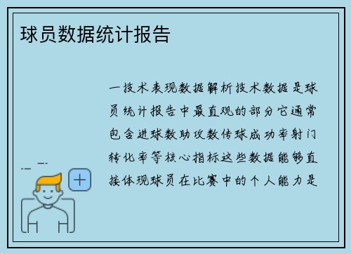 球员数据统计报告