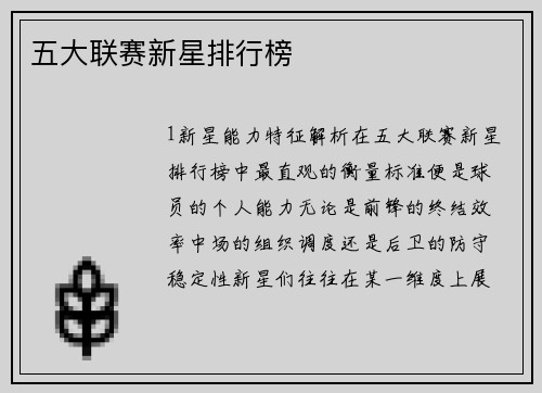 五大联赛新星排行榜